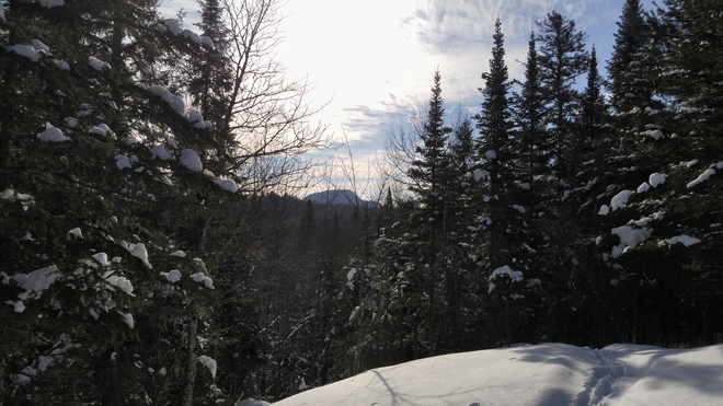 Doux paysage matinal en ski hors-piste Labelle, QC