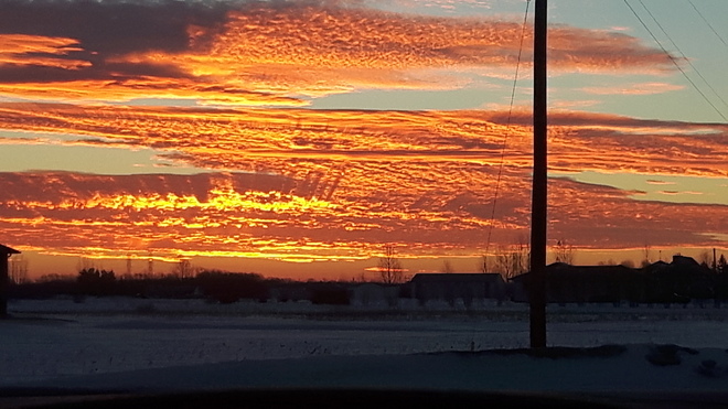 What a sight going to work St. Andrews, MB