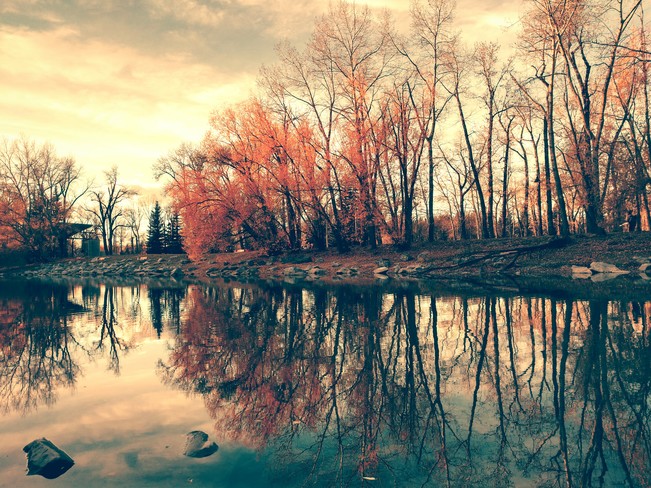 Autumn Reflections Calgary, AB