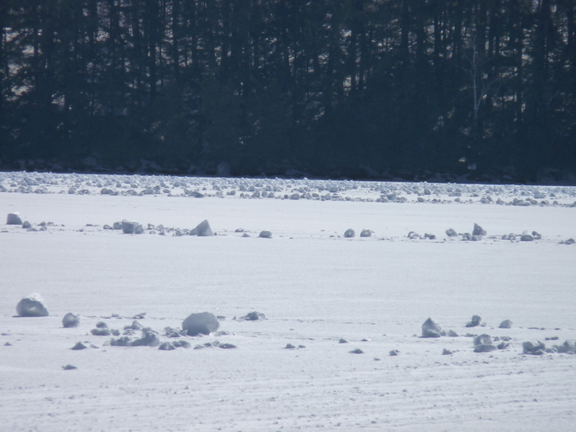 snow rollers Port Carling ON