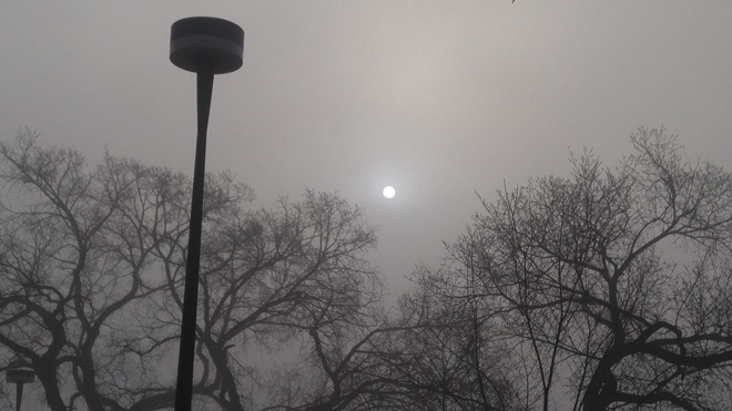 Amazing View of Sun in Heavy Fog.. Edmonton, AB