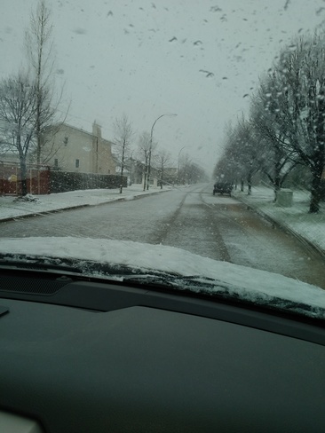 WinterSpring Winnipeg, MB