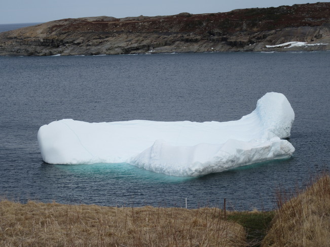 Sea ice, Floes, Icebergs Avalon Peninsula Newfoundland and Labrador