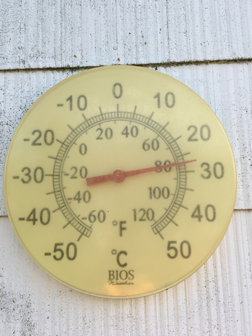 The temperature in Wallace NS today! Wallace, Nova Scotia, CA