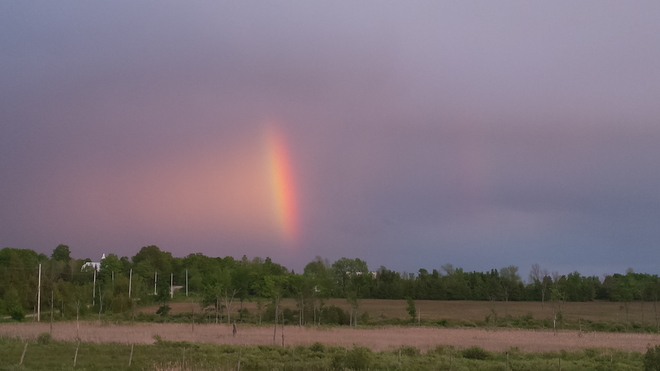 Rainbow after storm Kirkfield, ON