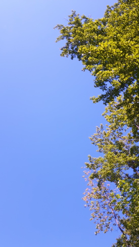 Bleu sans nuages Saint-Colomban, QC