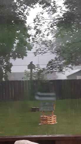 rain storm Simcoe, ON