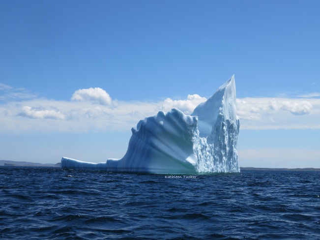Iceberg Hunters Ship Cove, Division No. 9, Subd. D, NL