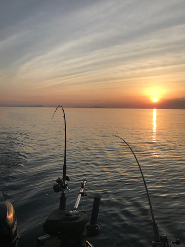 Salmon Fishing on Lake Ontario Port Credit, Ontario, CA