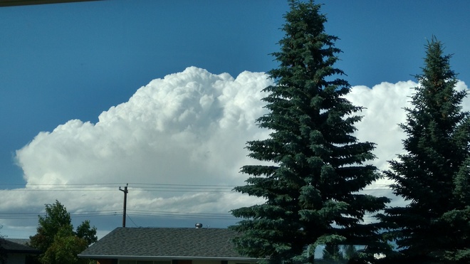 Marshmallow Cloud Calgary, AB