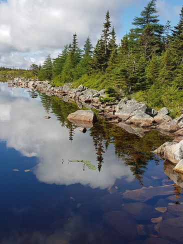 Beautiful Rocky Pond, New Harbour Barrons, NL New Harbour, NL