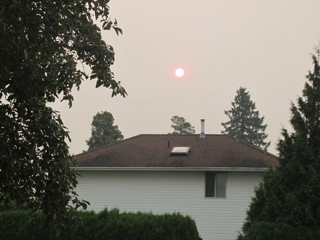 Forest Fire Smoke Watson Rd, Sardis, Chilliwack, BC