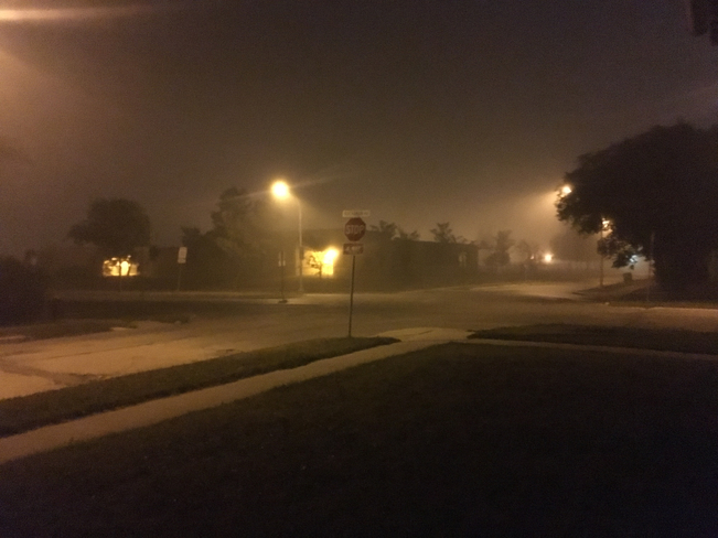 fog Winnipeg, Manitoba, CA