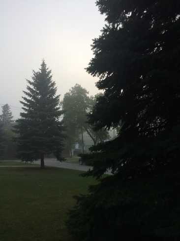 Misty weather Winnipeg, Manitoba, CA