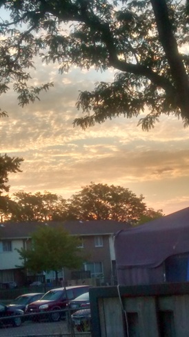 golden sky Oakville, ON