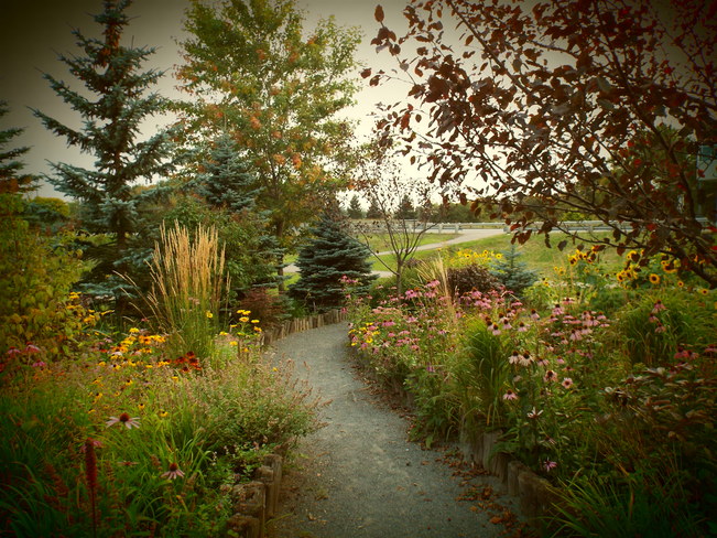 garden path 437 Balmoral St, Thunder Bay, ON P7C 5V3, Canada