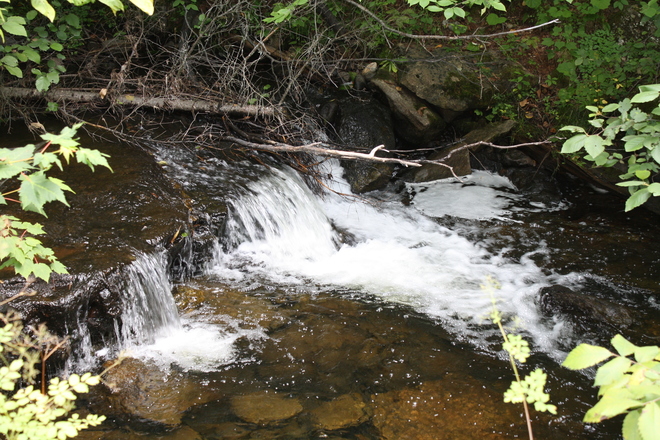 Petit ruisseau Aylmer, Gatineau, QC