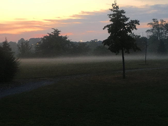 Early morning mist Brantford, Ontario, CA