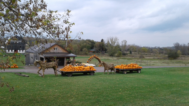 Fall Display at Willow Creek Farms Frankford, ON