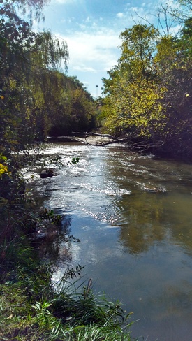 Don River In Autumn's Embrace Don Mills, ON
