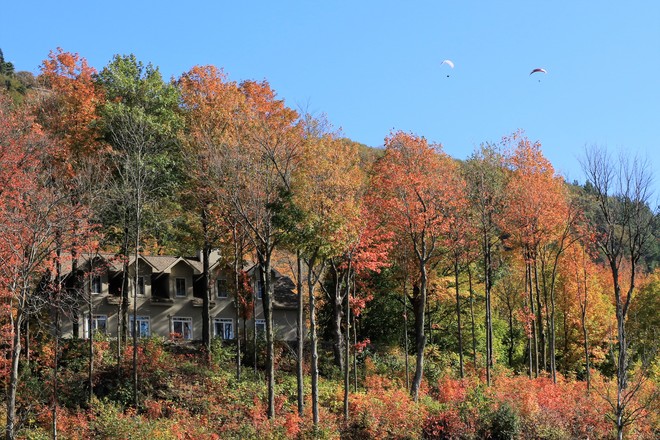 Mont-Yamaska en automne Saint-Hyacinthe, QC