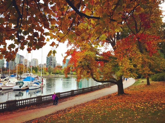 Autumnly colorful! Vancouver, BC