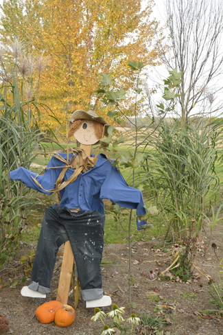 Scarecrows Wainfleet, ON