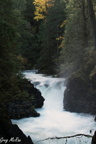 Little Qualicum Falls Provincial Park Vancouver Island, Cameron Lake, BC