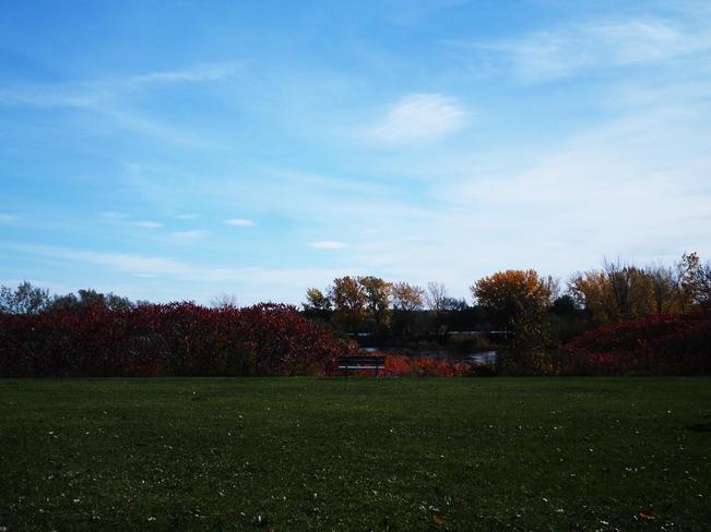 Ballade sous les couleurs de l'automne Montréal, QC