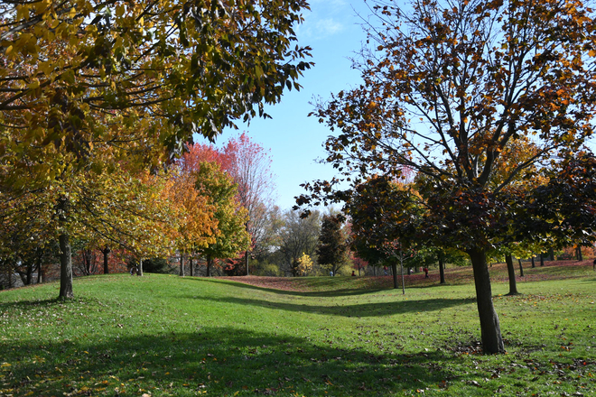 Fall in the Park Newmarket, Ontario, CA
