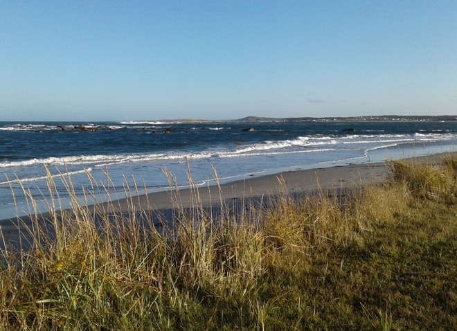 Who says you can't enjoy the beach in November? Lumsden, NL