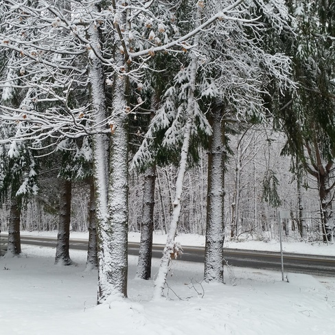 Winter wonderland Saint-Lazare, QC