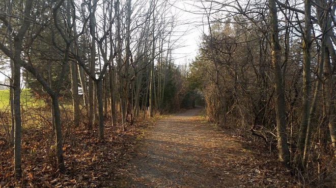 A great day for a Nature Trail Walk in December Port Perry, ON