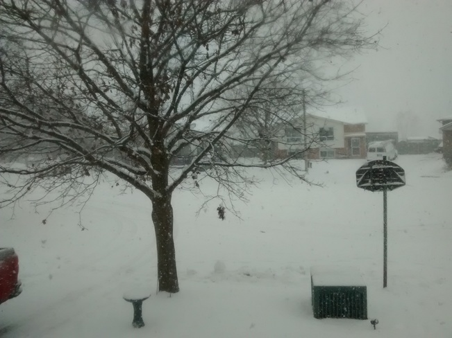 a little snow Bowmanville, ON