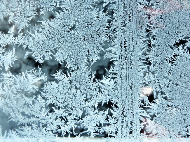 Oeuvres uniques en crystaux de glace sur vitre, Montpellier, QC