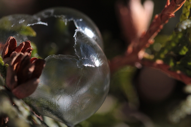 Ice Bubbles Markham, ON