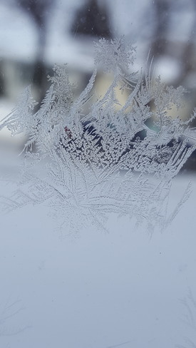 snowflake Winnipeg, MB