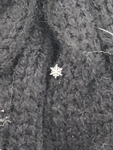 Perfect snowflake Mirabel, Quebec, CA