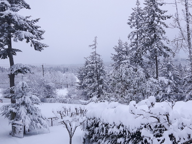 Nanaimo Snowfall Nanaimo, BC