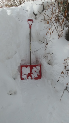 snow shovel Fort MacLeod, AB