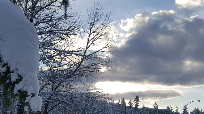 sunday snow @ cole tyee elementary Nanaimo, BC