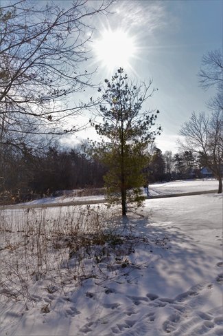 Sun and Snow The Riverwood Conservancy, Riverwood Park Lane, Mississauga, ON