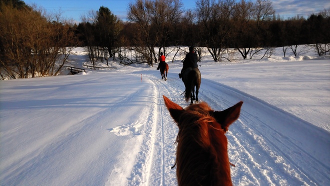 Trois cowgirls en hiver Mirabel, QC