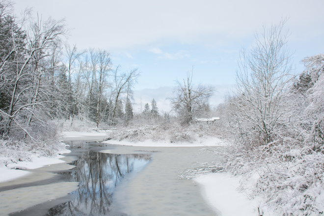 The Return of Winter Abbotsford, BC