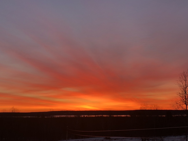 Sunrise Rusagonis, New Brunswick, CA