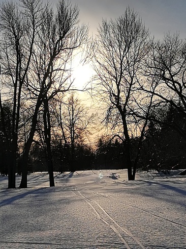 l'hiver au Parc Maisonneuve Montréal, QC