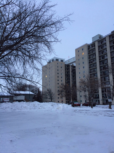 Good morning,light snow in night Winnipeg, Manitoba, CA