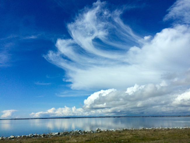Amazing looking cirrus clouds after rain Tsawwassen, British Columbia, CA