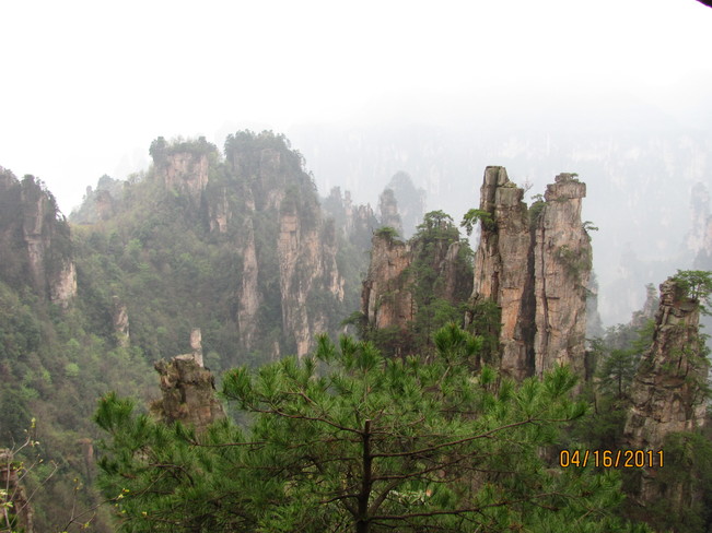 Mountain Zhangjiajie National Forest Park, Wulingyuan, Zhangjiajie, Hunan, China