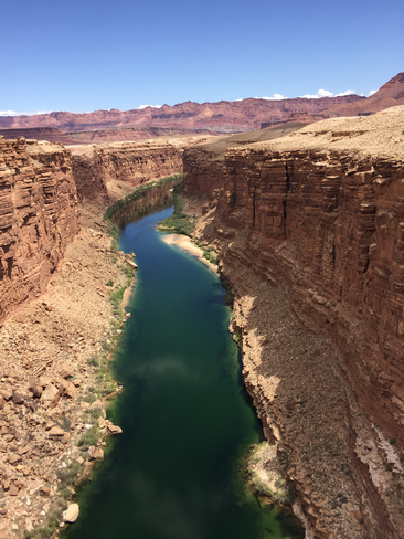 The mighty Colorado River Marble Canyon, Arizona, US